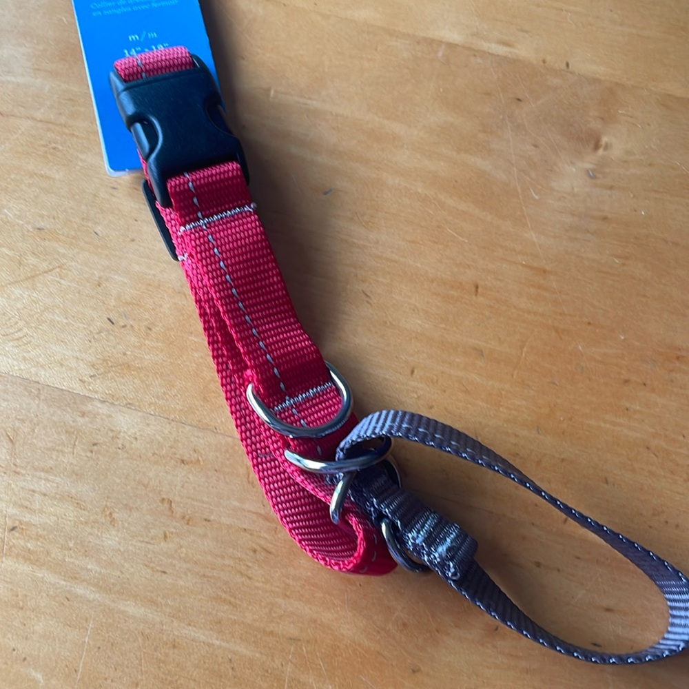 RC Pets martingale clip collar 14”-19” (medium)